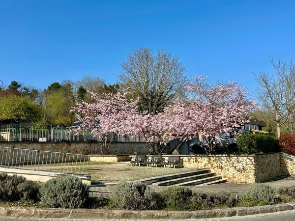 Maison à vendre 7 pièces LE MESNIL LE ROI (78)