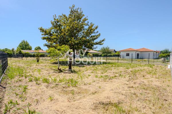 À vendre à Biscarrosse ? Superbe terrain constructible de 459 m² dans un environnement privilégié !
