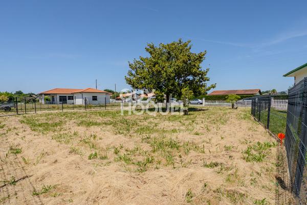 À vendre à Biscarrosse ? Superbe terrain constructible de 459 m² dans un environnement privilégié !