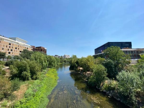 Appartement à louer à Montpellier (34000)