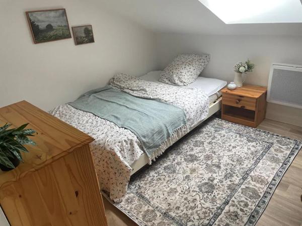 Appartement à louer à Nancy (54000)