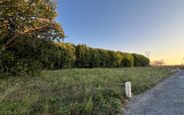 Terrain à vendre    Clavette