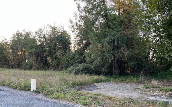 Terrain à vendre    Clavette