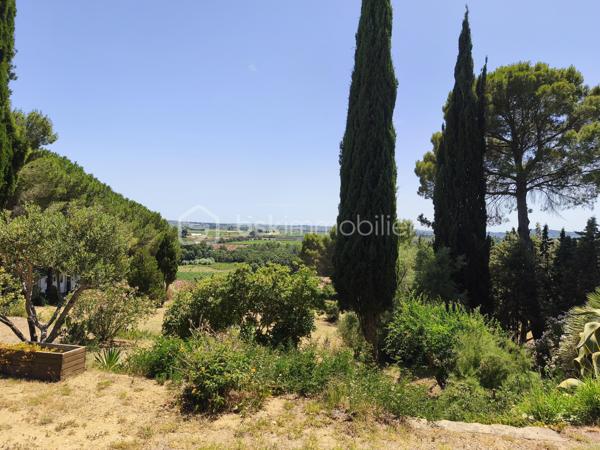 Propriété sur 2 hectares de terrain clôturée AVEC UN LOYER PERÇU DE 1700 EUROS TTC/MOIS
Occitanie, Hérault, Venez découvrir ce havre de paix:
A seulement 15 minutes des plages de Valras-plage, Vendres plage, Sérignan plage avec une vue imprenable sur la vallée, cette propriété
atypique est perchée sur les hauteurs du village de Maraussan, à seulement 5 minutes de toutes les commodités. Vous profiterez du climat
méditerranéen baigné par le chant des cigales.
En pleine nature, dans un parc, au calme, sans vis à vis, cette pépite possède de nombreux atouts:
Ce bien se compose:
D''une villa de 150 M2 avec 4 chambres, 
D' 1 Hangar loué avec bail, 
D' 1 garage, 
D' 1 chalet en bois pour voiture et/outils de jardinage 
De 2 habitations légères entièrement équipées
D'une remise agricole de 90 M2 avec 2 chambres, cuisine, salle de bain, séjour, entrée indépendante avec portail indépendant.

Potentiel de revenu locatif supplémentaire: 
Un terrain agricole attenant clôturé de 6000m² avec entrée indépendante vous attend également
pour culture, écotourisme, centre équestre, ...
Les points forts:
Rentabilité financière ( 25000 EUROS/an): hangar agricole loué avec bail 3/6/9 de 1700 euros/mois)
Vue imprenable sur la vallée
Calme, sans vis à vis
Raccordement au réseau ( eau, électricité, assainissement individuel)
Fibre
Panneaux solaires en auto consommation