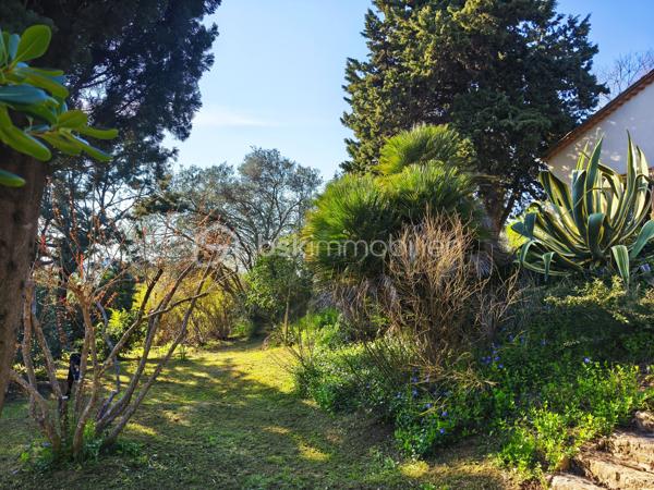 Propriété sur 2 hectares de terrain clôturée AVEC UN LOYER PERÇU DE 1700 EUROS TTC/MOIS
Occitanie, Hérault, Venez découvrir ce havre de paix:
A seulement 15 minutes des plages de Valras-plage, Vendres plage, Sérignan plage avec une vue imprenable sur la vallée, cette propriété
atypique est perchée sur les hauteurs du village de Maraussan, à seulement 5 minutes de toutes les commodités. Vous profiterez du climat
méditerranéen baigné par le chant des cigales.
En pleine nature, dans un parc, au calme, sans vis à vis, cette pépite possède de nombreux atouts:
Ce bien se compose:
D''une villa de 150 M2 avec 4 chambres, 
D' 1 Hangar loué avec bail, 
D' 1 garage, 
D' 1 chalet en bois pour voiture et/outils de jardinage 
De 2 habitations légères entièrement équipées
D'une remise agricole de 90 M2 avec 2 chambres, cuisine, salle de bain, séjour, entrée indépendante avec portail indépendant.

Potentiel de revenu locatif supplémentaire: 
Un terrain agricole attenant clôturé de 6000m² avec entrée indépendante vous attend également
pour culture, écotourisme, centre équestre, ...
Les points forts:
Rentabilité financière ( 25000 EUROS/an): hangar agricole loué avec bail 3/6/9 de 1700 euros/mois)
Vue imprenable sur la vallée
Calme, sans vis à vis
Raccordement au réseau ( eau, électricité, assainissement individuel)
Fibre
Panneaux solaires en auto consommation