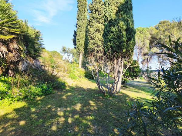 Propriété sur 2 hectares de terrain clôturée AVEC UN LOYER PERÇU DE 1700 EUROS TTC/MOIS
Occitanie, Hérault, Venez découvrir ce havre de paix:
A seulement 15 minutes des plages de Valras-plage, Vendres plage, Sérignan plage avec une vue imprenable sur la vallée, cette propriété
atypique est perchée sur les hauteurs du village de Maraussan, à seulement 5 minutes de toutes les commodités. Vous profiterez du climat
méditerranéen baigné par le chant des cigales.
En pleine nature, dans un parc, au calme, sans vis à vis, cette pépite possède de nombreux atouts:
Ce bien se compose:
D''une villa de 150 M2 avec 4 chambres, 
D' 1 Hangar loué avec bail, 
D' 1 garage, 
D' 1 chalet en bois pour voiture et/outils de jardinage 
De 2 habitations légères entièrement équipées
D'une remise agricole de 90 M2 avec 2 chambres, cuisine, salle de bain, séjour, entrée indépendante avec portail indépendant.

Potentiel de revenu locatif supplémentaire: 
Un terrain agricole attenant clôturé de 6000m² avec entrée indépendante vous attend également
pour culture, écotourisme, centre équestre, ...
Les points forts:
Rentabilité financière ( 25000 EUROS/an): hangar agricole loué avec bail 3/6/9 de 1700 euros/mois)
Vue imprenable sur la vallée
Calme, sans vis à vis
Raccordement au réseau ( eau, électricité, assainissement individuel)
Fibre
Panneaux solaires en auto consommation