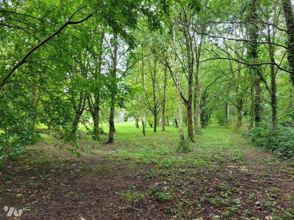 Parcelle en nature de bois et vergers