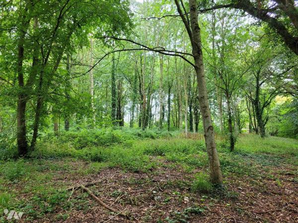 Parcelle en nature de bois et vergers