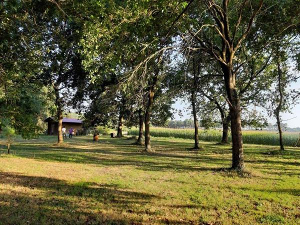 Maison à vendre |  Soustons |  4 pièces | 165 m²