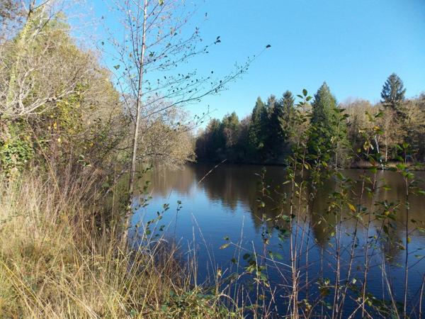 Étang de pêche dans un environnement paisible La chapelle montbrandeix