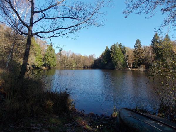 Étang de pêche dans un environnement paisible La chapelle montbrandeix
