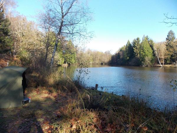 Étang de pêche dans un environnement paisible La chapelle montbrandeix