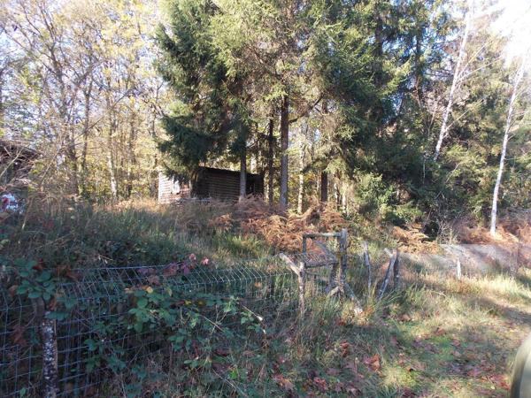 Étang de pêche dans un environnement paisible La chapelle montbrandeix
