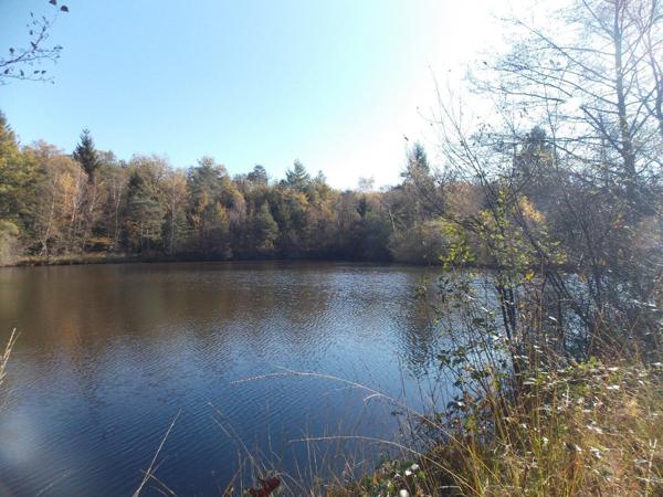 Étang de pêche dans un environnement paisible La chapelle montbrandeix