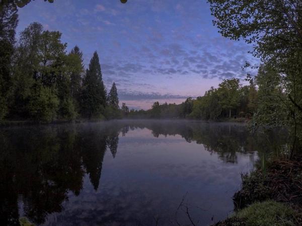 Étang de pêche dans un environnement paisible La chapelle montbrandeix
