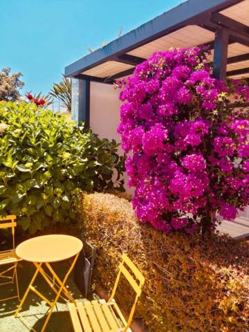 Maison Sainte Lucie De Porto Vecchio 269 m2