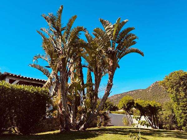 Maison Sainte Lucie De Porto Vecchio 269 m2