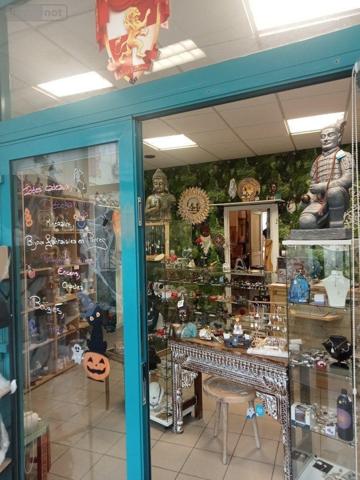 Local mixte (Pro/Hab) à vendre à Mussy-sur-Seine dans l'Aube (10250), ref : 10361/5519