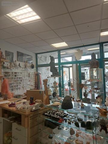 Local mixte (Pro/Hab) à vendre à Mussy-sur-Seine dans l'Aube (10250), ref : 10361/5519