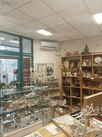 Local mixte (Pro/Hab) à vendre à Mussy-sur-Seine dans l'Aube (10250), ref : 10361/5519