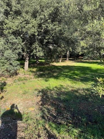 Terrain constructible