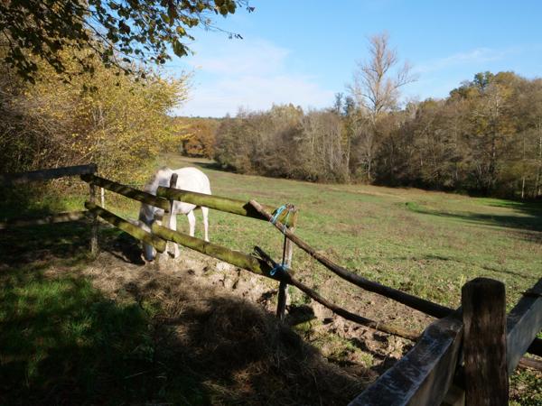 MAISON ATYPIQUE DOMESPACE SUR PARCELLE DE 4 hectares