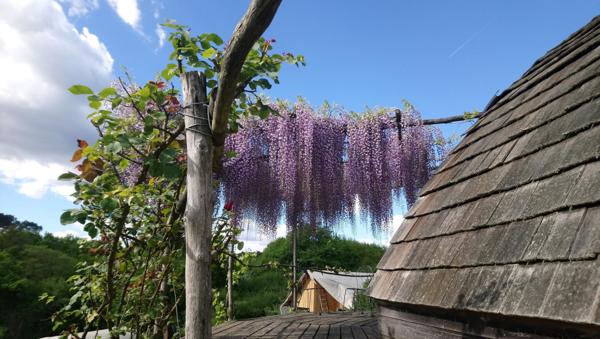 MAISON ATYPIQUE DOMESPACE SUR PARCELLE DE 4 hectares