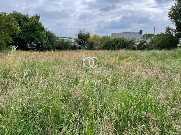 SURZUR Terrain 1000 m²