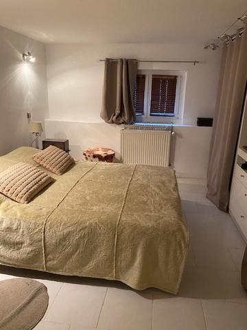 Maison Toulouse 7 pièce(s) 262 m2