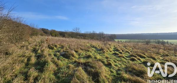 Terrain à vendre 8 000 m² Oigny-en-Valois