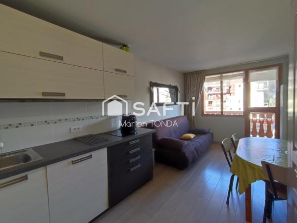 Appartement cosy centre station