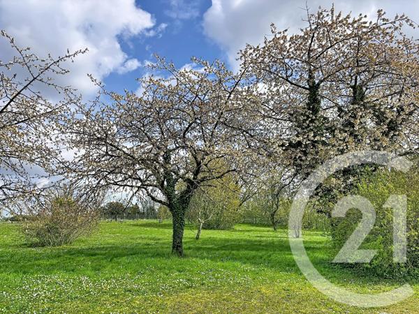 Maison à vendre  4 pièces - 100,59 m2 MEUNG SUR LOIRE - 45
