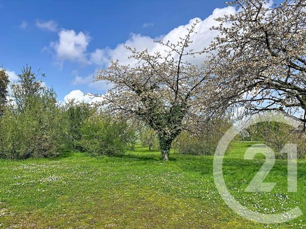 Maison à vendre  4 pièces - 100,59 m2 MEUNG SUR LOIRE - 45