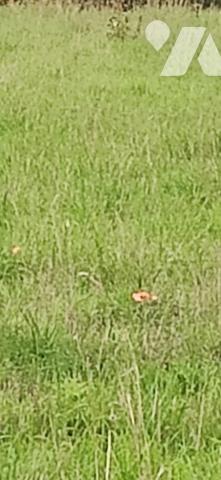 Terrain à bâtir de 783m² viabilisé