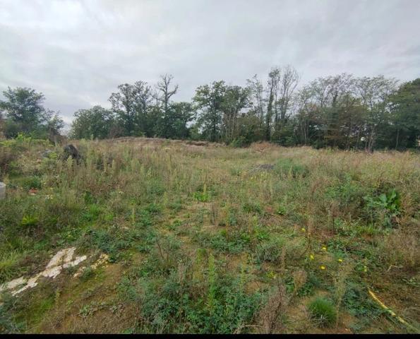 Vente Terrain 404 m2 à Neuilly-Saint-Front