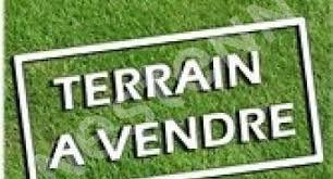 Terrain constructibe libre de constructeur dans le Bourg d'Andard Loire Authion de 343m²