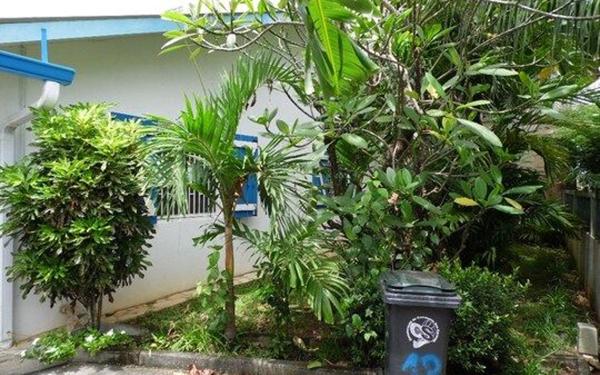 Maison à vendre    4 pièces •  Kourou