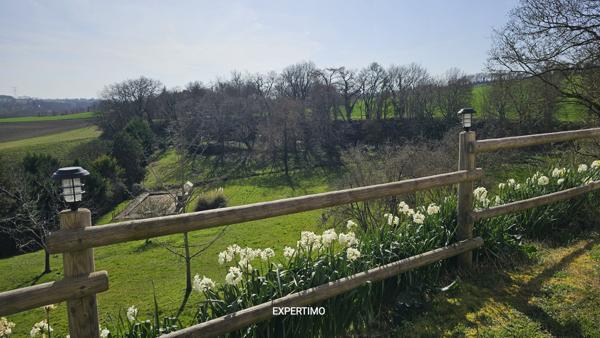 Nérac (47600) Magnifique maison de 300m², un appartement de 100m², une ancienne étable de 120m², parc arboré, piscine.