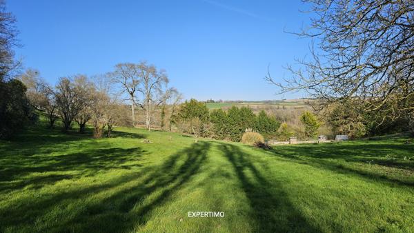 Nérac (47600) Magnifique maison de 300m², un appartement de 100m², une ancienne étable de 120m², parc arboré, piscine.