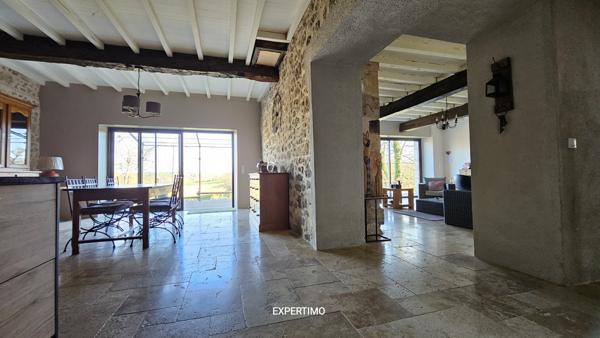 Nérac (47600) Magnifique maison de 300m², un appartement de 100m², une ancienne étable de 120m², parc arboré, piscine.