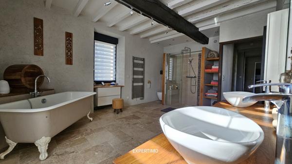 Nérac (47600) Magnifique maison de 300m², un appartement de 100m², une ancienne étable de 120m², parc arboré, piscine.