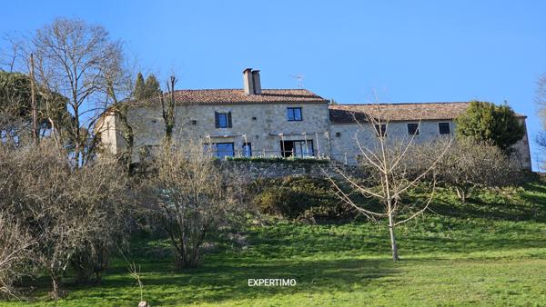 Nérac (47600) Magnifique maison de 300m², un appartement de 100m², une ancienne étable de 120m², parc arboré, piscine.