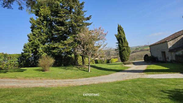 Nérac (47600) Magnifique maison de 300m², un appartement de 100m², une ancienne étable de 120m², parc arboré, piscine.