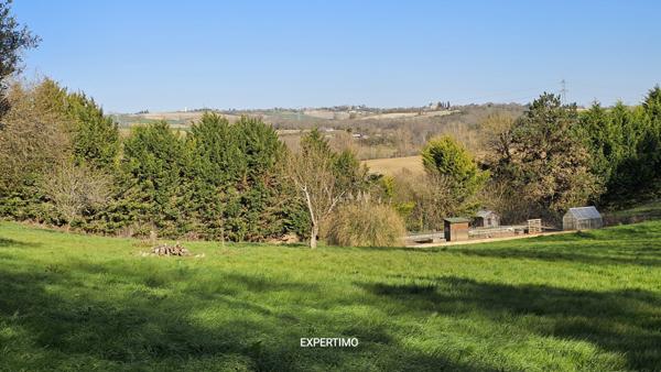 Nérac (47600) Magnifique maison de 300m², un appartement de 100m², une ancienne étable de 120m², parc arboré, piscine.