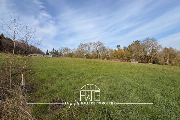 Terrain
        
        - 1187 m² Exclusivité
