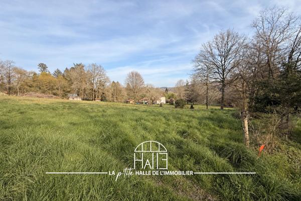 Terrain
        
        - 1187 m² Exclusivité