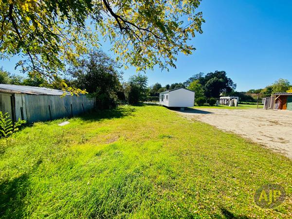 Vente terrain Lesparre Medoc : 70 000 € - AJP Lesparre Immobilier