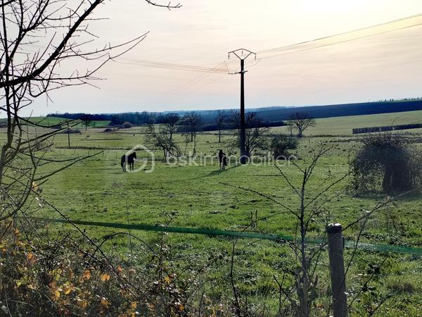 Terrain de 1 004 m²