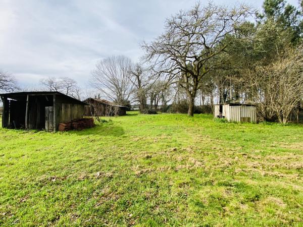 Ygos-Saint-Saturnin (40110) Maison de charme à Ygos-Saint-Saturnin en pleine nature