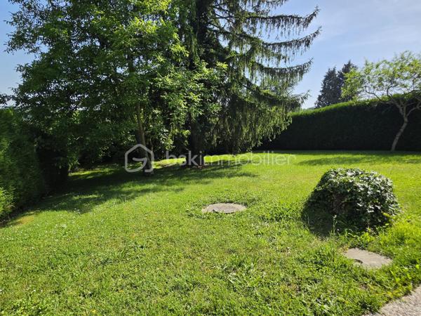 Située sur les hauteurs de Pommeuse, découvrez cette charmante maison de plain-pied d'environ 55 m², implantée sur une belle parcelle arborée de 1 197 m².

La maison se compose d'un sas d'entrée, d'une spacieuse chambre d'environ 18 m², d'un séjour lumineux de 24 m² agrémenté d'une cheminée à foyer fermé, d'une petite cuisine ainsi que d'une salle d'eau avec WC.

Elle est édifiée en partie sur vide sanitaire et dispose également d'un sous-sol d'environ 25 m² offrant un espace de stockage appréciable.

Un garage attenant avec mezzanine complète l'ensemble et permet un rangement supplémentaire.

À l'extérieur, vous profiterez d'un beau jardin arboré, idéal pour les amoureux de nature et d'espaces verts.

Équipements :

* Chauffage, production d'eau chaude et cuisson alimentés par citerne gaz.
* Menuiseries en double vitrage.

À noter : assainissement individuel par fosse septique non conforme.

Une maison pleine de potentiel, idéale pour une résidence principale, un pied-à-terre ou un projet de rénovation.